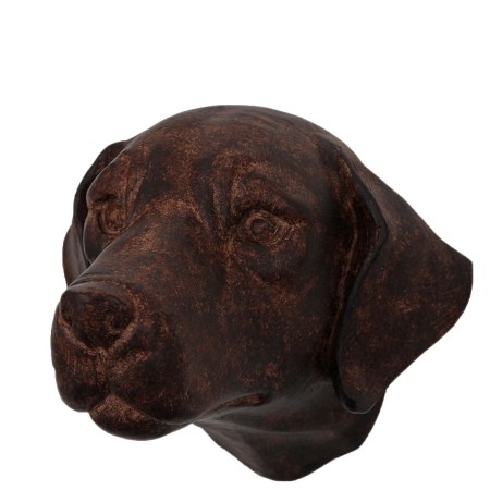 Hundehode på vegg Brun