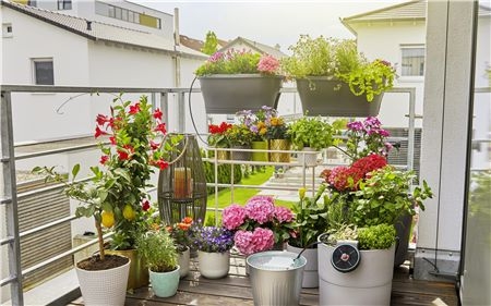 AquaBloom kan ta vare på opptil 20 planter. Du kan definere frekvensen og vannmengden ved å velge et av de 14 forhåndsinnstilte vanningsprogrammene.